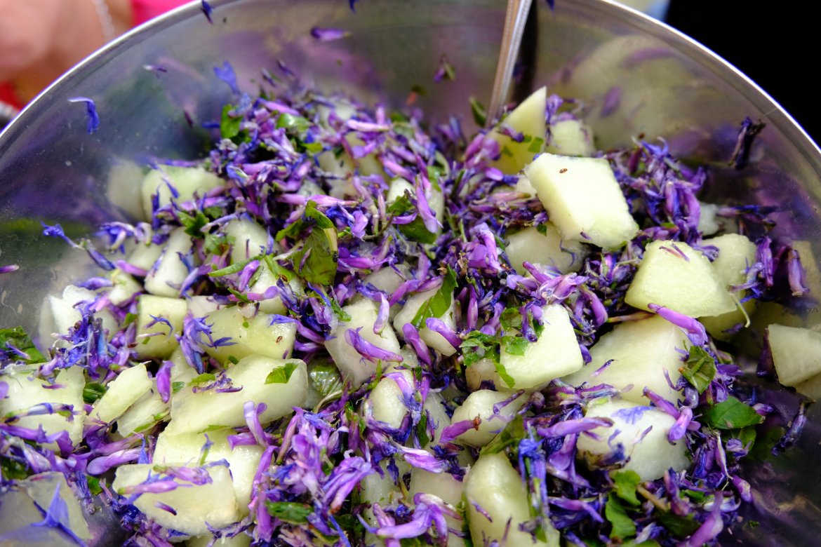 Fot. Natalia Jedrzejczak