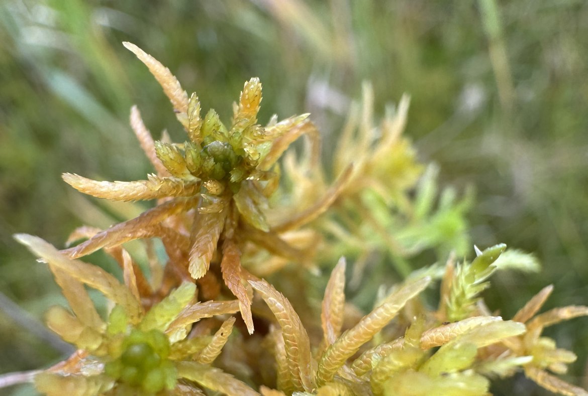 fot. Mariusz Lamentwicz