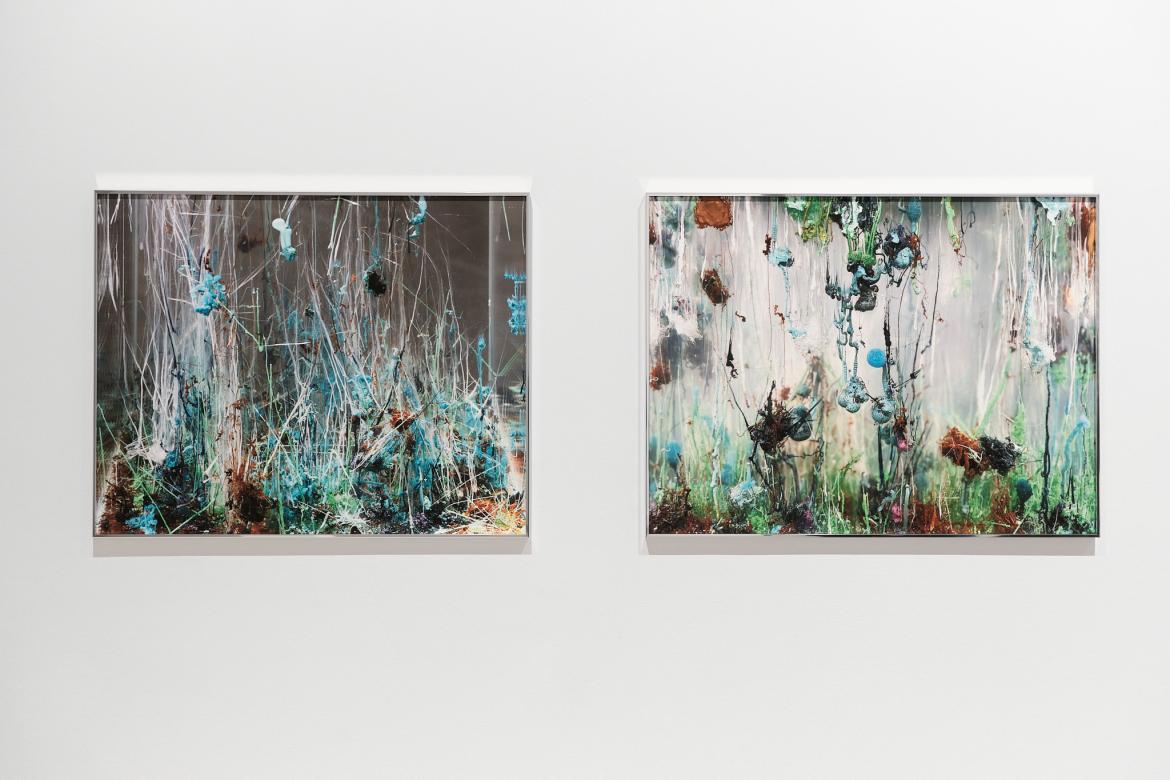 Agnieszka Kurant "Chemical Garden"