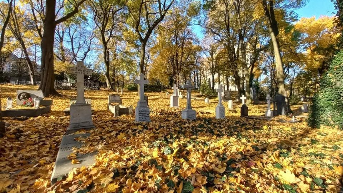 Wszystkich Świętych