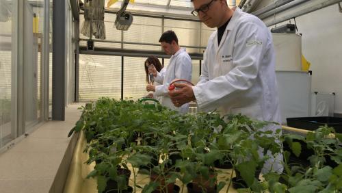 dr hab. inż. Marcin Śmiglak