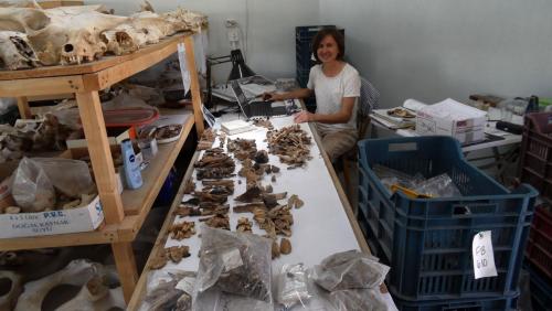 Dr hab. Kamilla Pawłowska