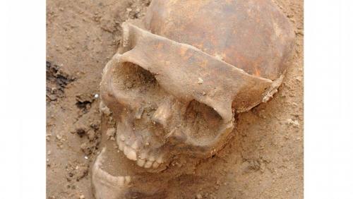 Zabytki Kolegiaty św. Marii Magdaleny