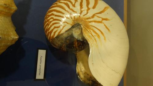 Fot. Karolina Foedke