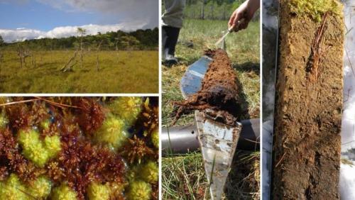 Źródło: prof. Mariusz Lamentowicz