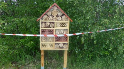 Fot. Jagoda Haloszka