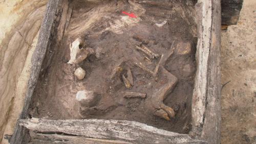 Szczątki psa w studni, fot. E. Schellner