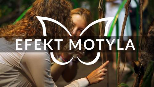 Efekt Motyla, kadr z filmu