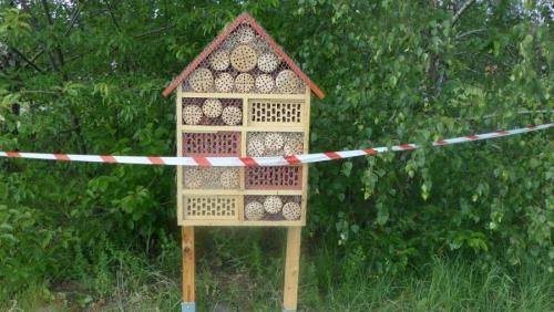 Hotel dla owadów - zwycięski projekt pierwszej edycji IDEAMU fot. Jagoda Haloszka