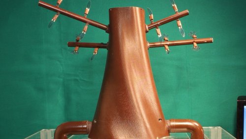 Plantoid, fot. Wikimedia