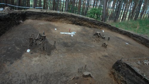 Prof. Andrzej Michałowski prowadzi badania w Mirosławiu od kilku sezonów