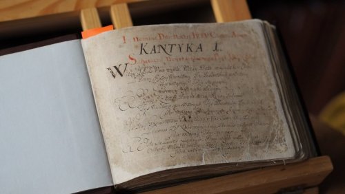 Kantyczka Chybińskiego, fot. Jagoda Haloszka