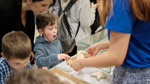 Noc Naukowców 2024, fot. Władysław Gardasz