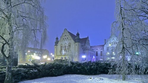 Fot. Mikołaj Kamieński