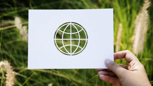 UAM awansuje w rankingu GreenMetric 2024, fot. www.freepik.com