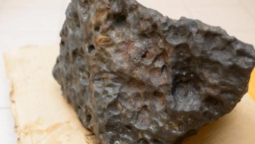 Kruszynka ważyła 271 kilogramów