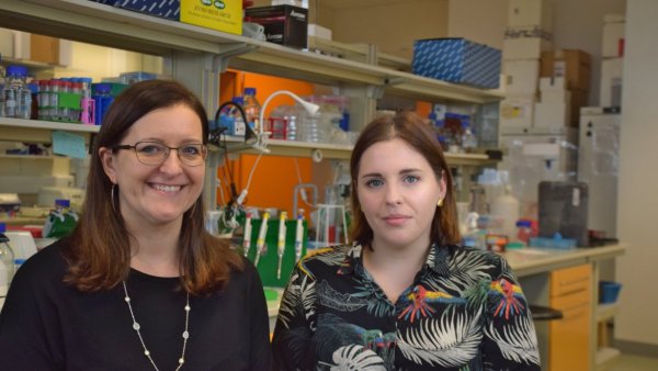 Baza, Granada intelligence overview