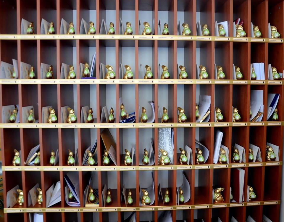 Zając dla każdego na WNPiD