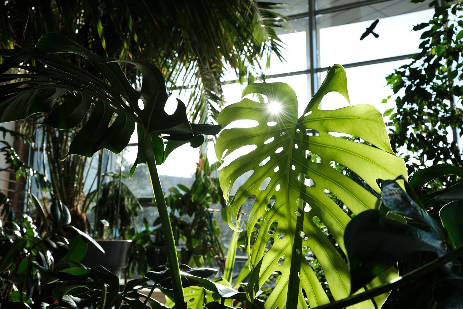 Wydział Biologii. fot. Władysław Gardasz