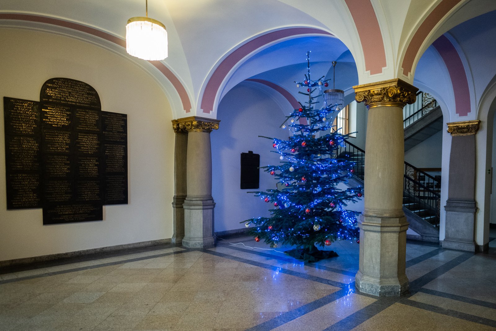 Choinka w Rektoracie. Fot.  Łukasz Gdak