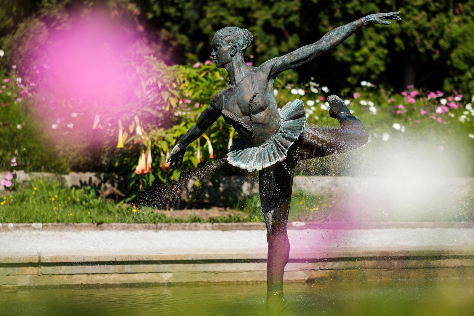 Ogród Botaniczny UAM | fot. Adrian Wykrota