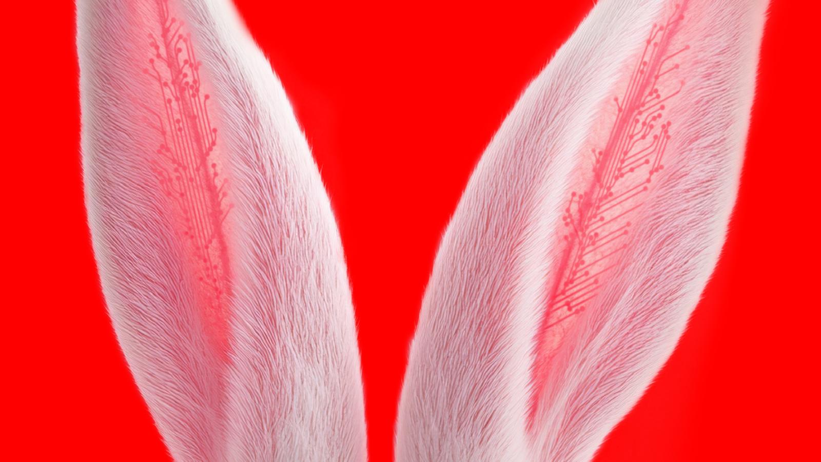 Wystawa „AI – Algorytmy Iluzji”