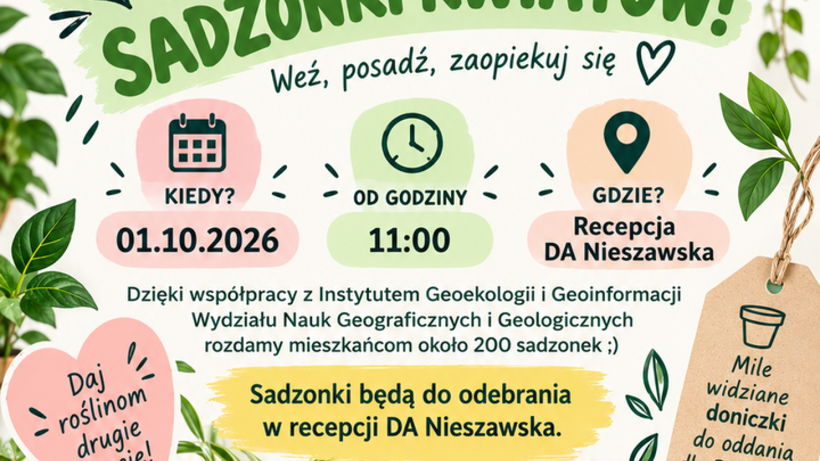 Zabierz kwiatek do domu