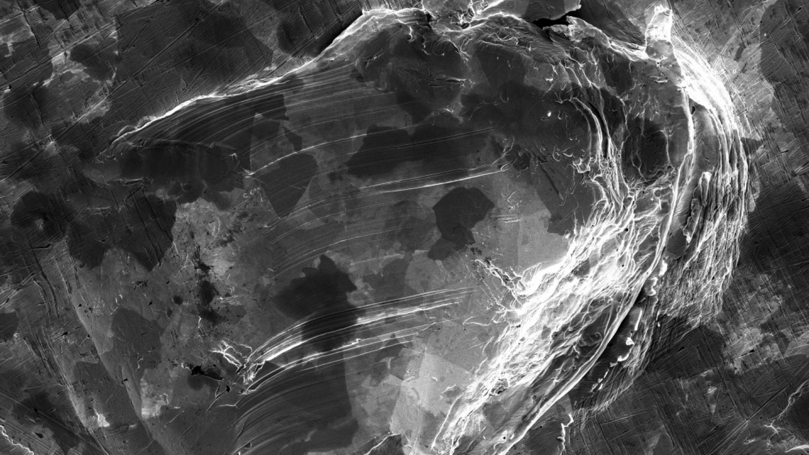 Microstructures – photo album