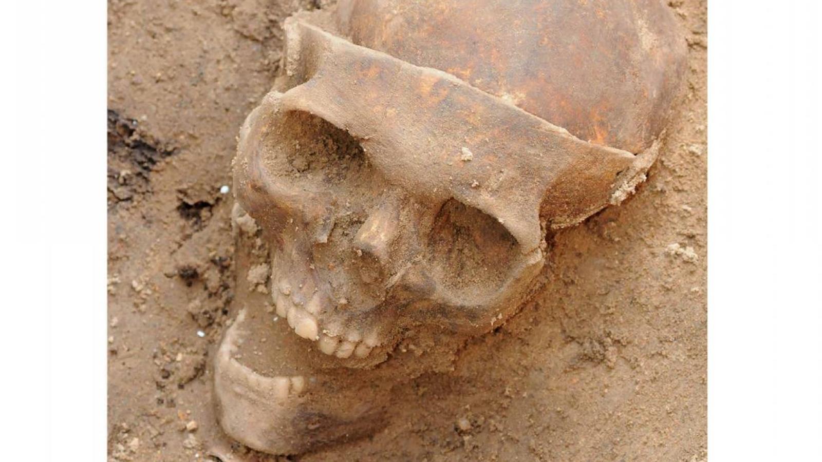 Zabytki Kolegiaty św. Marii Magdaleny