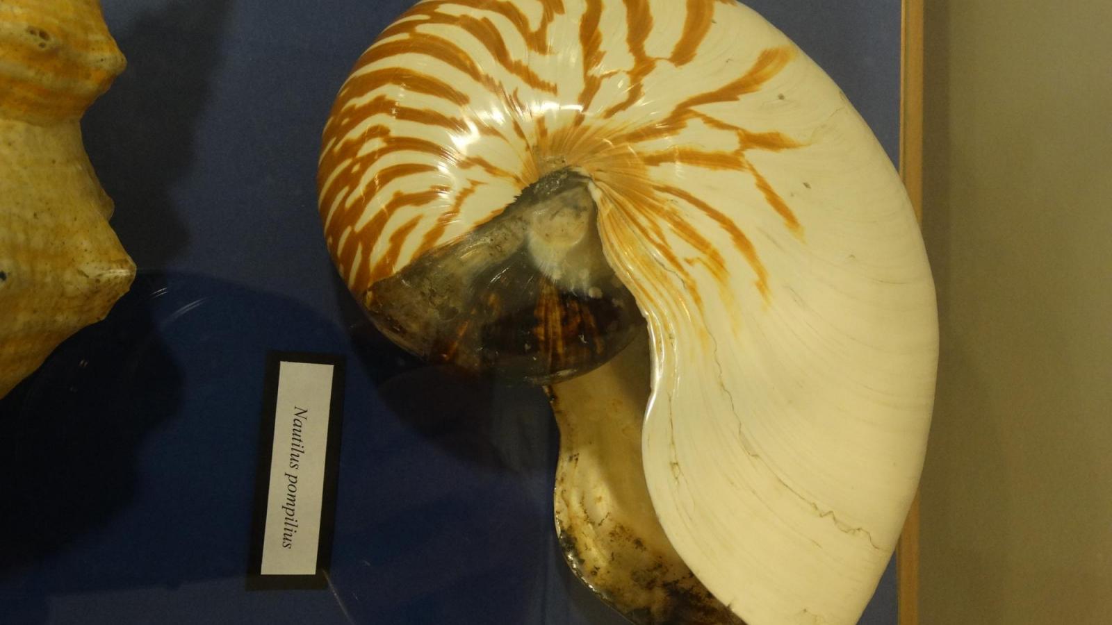 Fot. Karolina Foedke