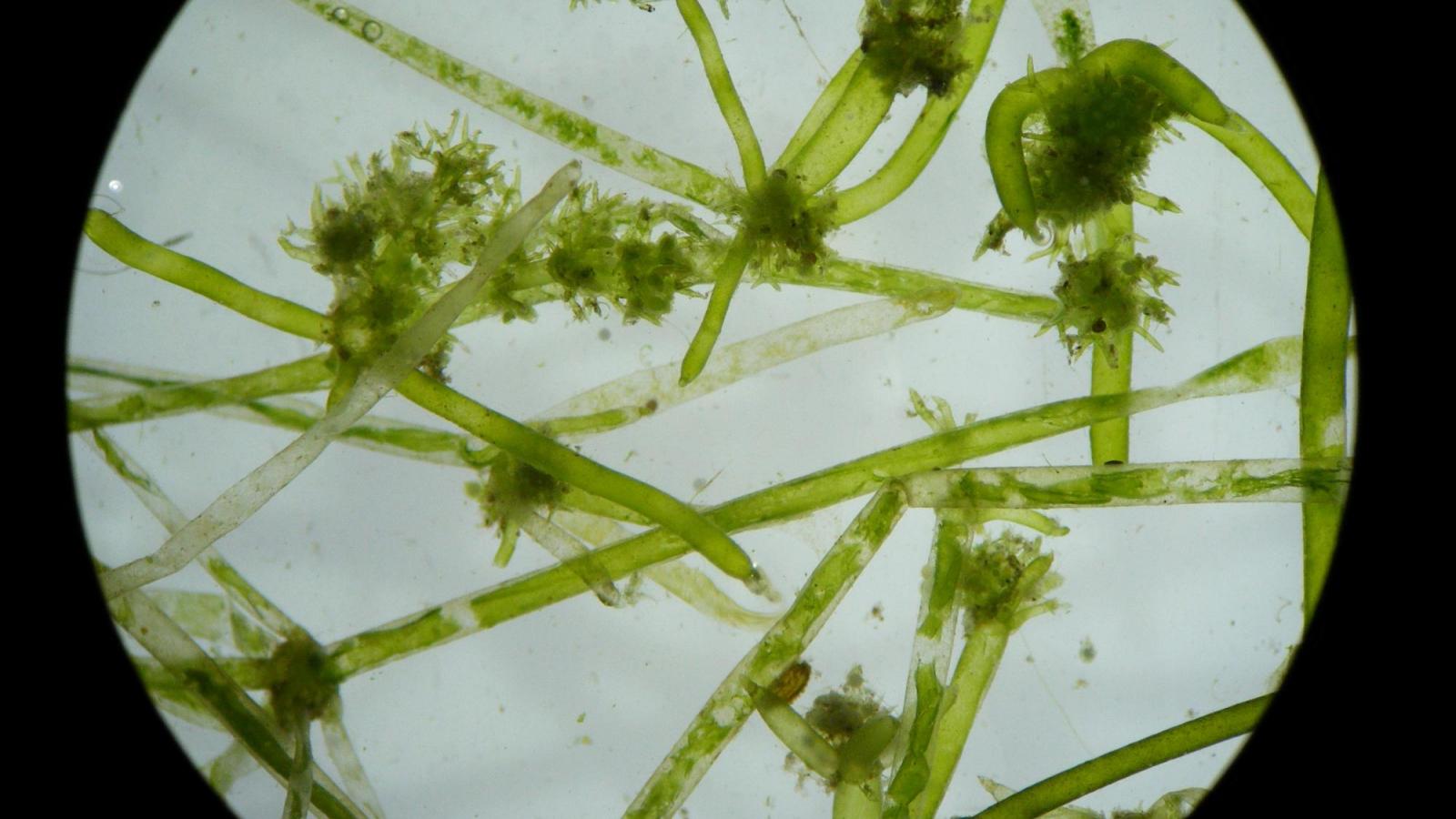 Fot. Ryszard Piotrowicz