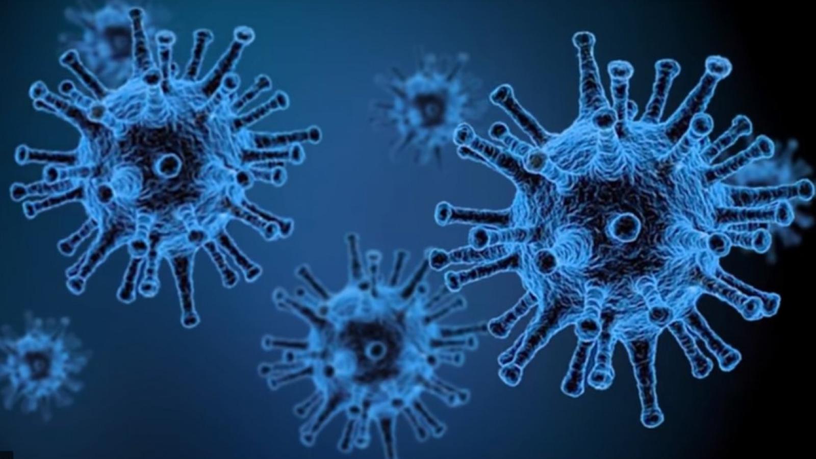 Graf. Wojciech Puppel, Studio Filmowe UAM