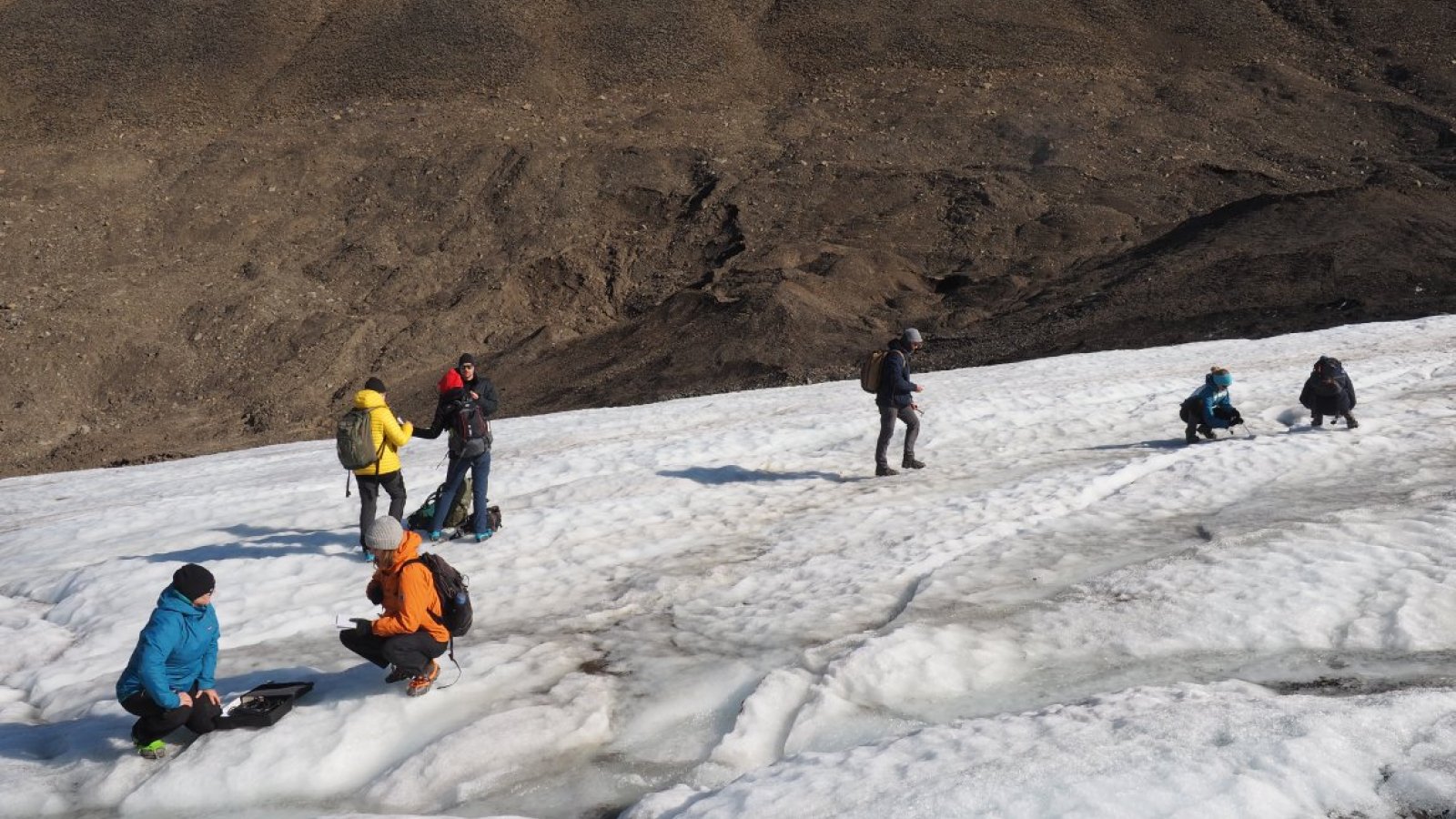 Fot. Łukasz Grewling i Mikołaj Jatrzębski