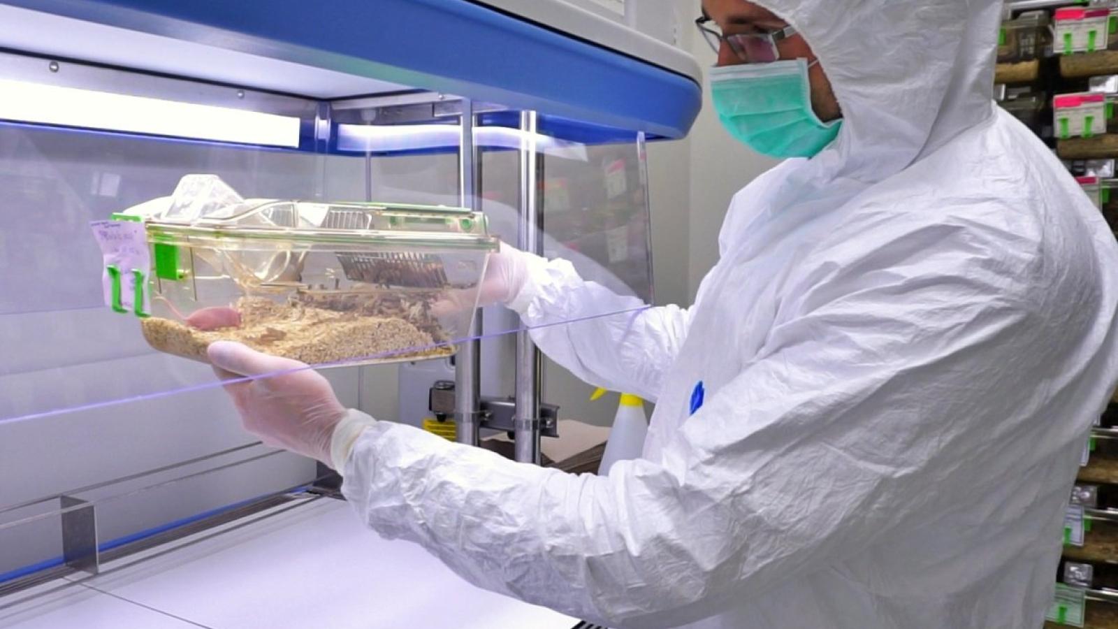 Zwierzętarnia CZT UAM otrzymała certyfikat PCA