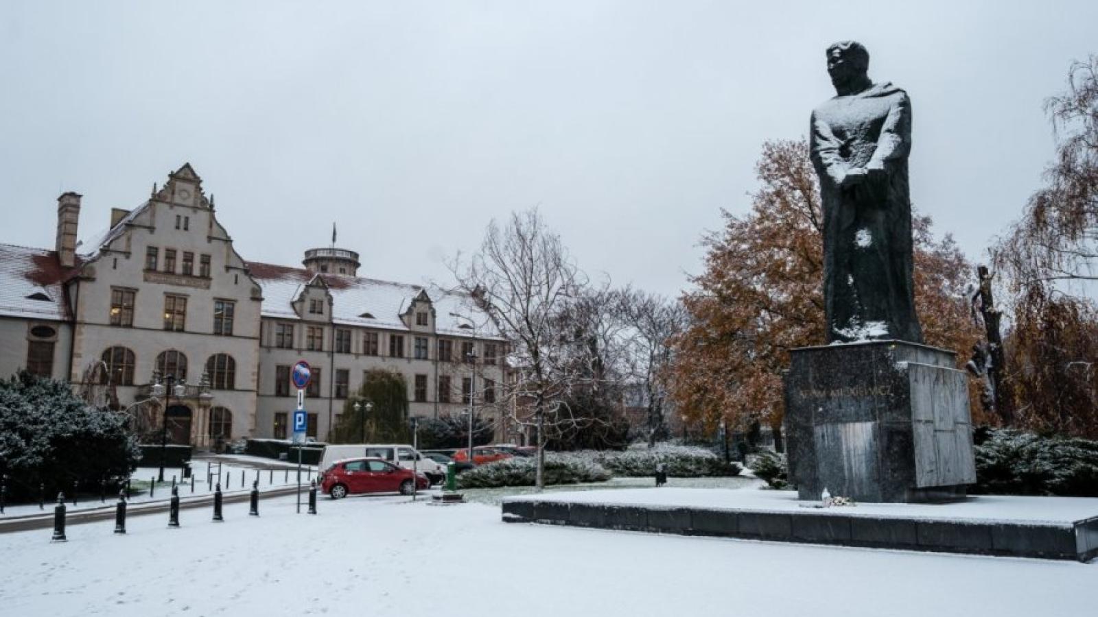 Collegium Minus, for. A.Wykrota