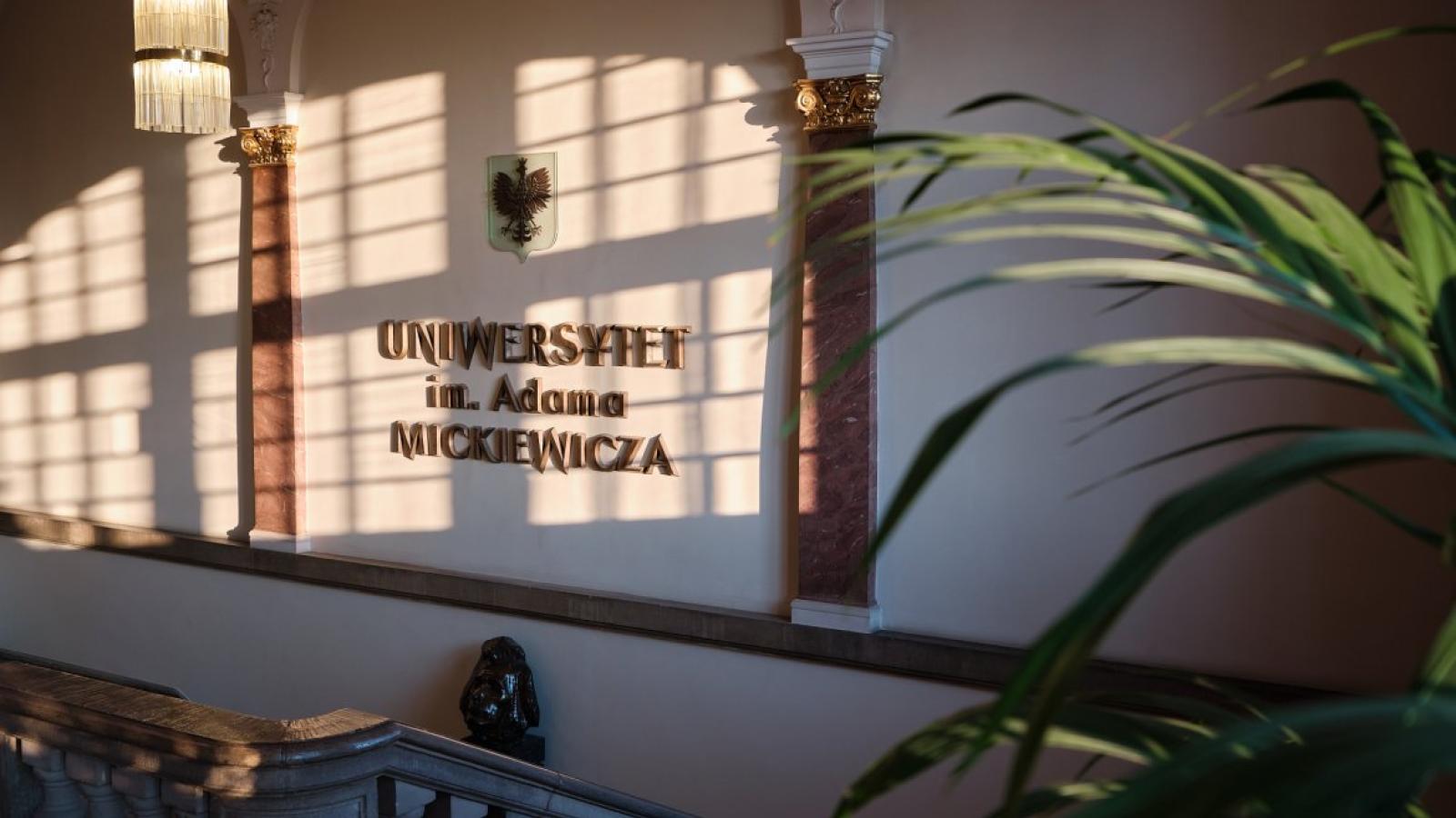 Collegium Minus, fot. Władysław Gardasz