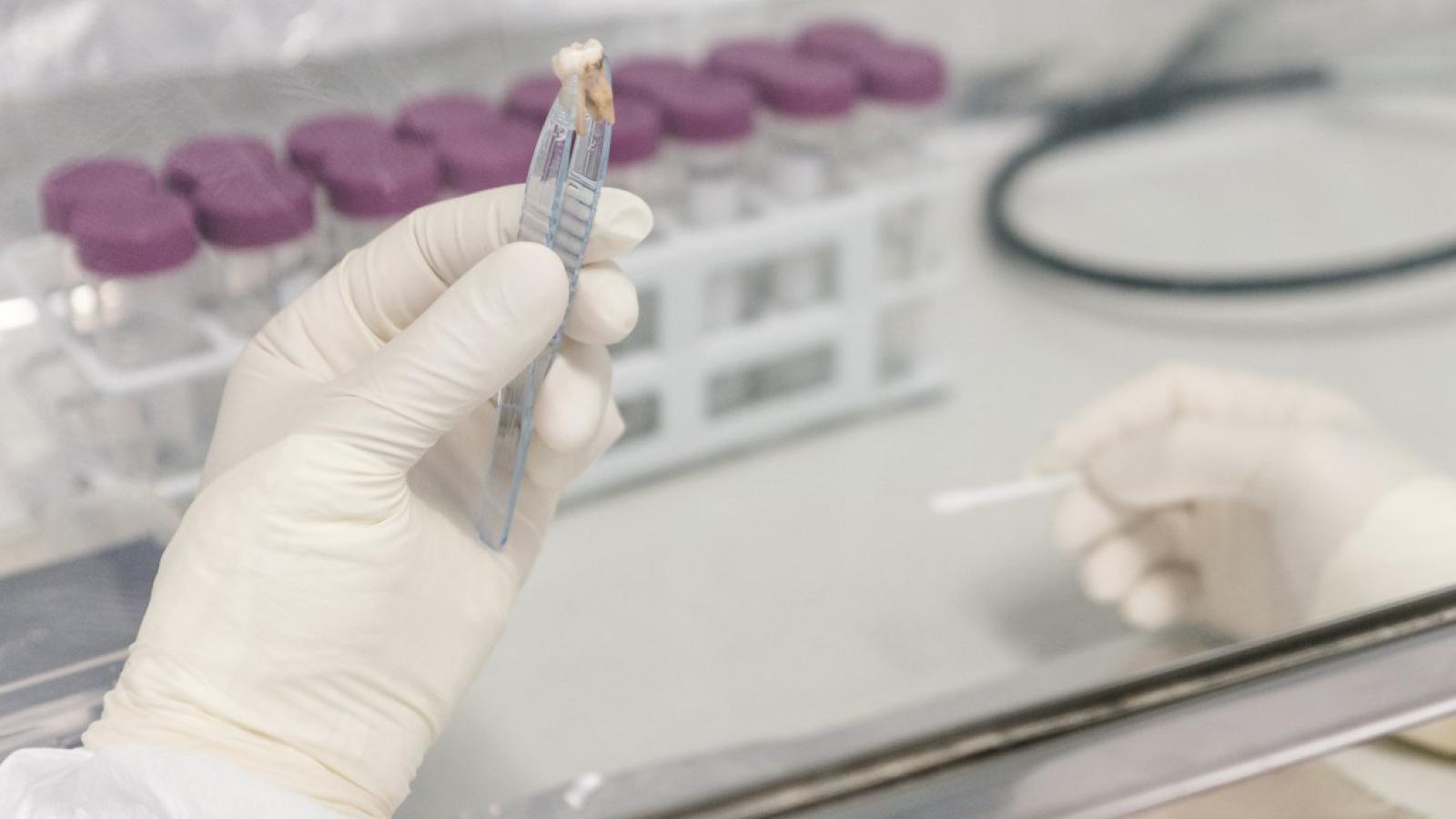 Genetic genealogy of the Piast dynasty and related European royal families