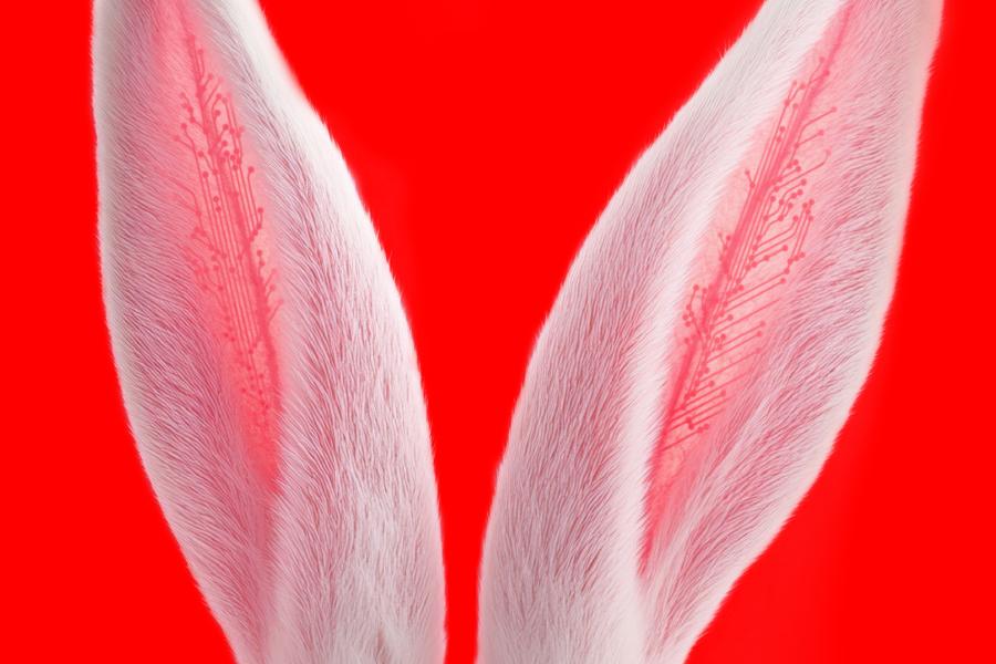 Wystawa „AI – Algorytmy Iluzji”