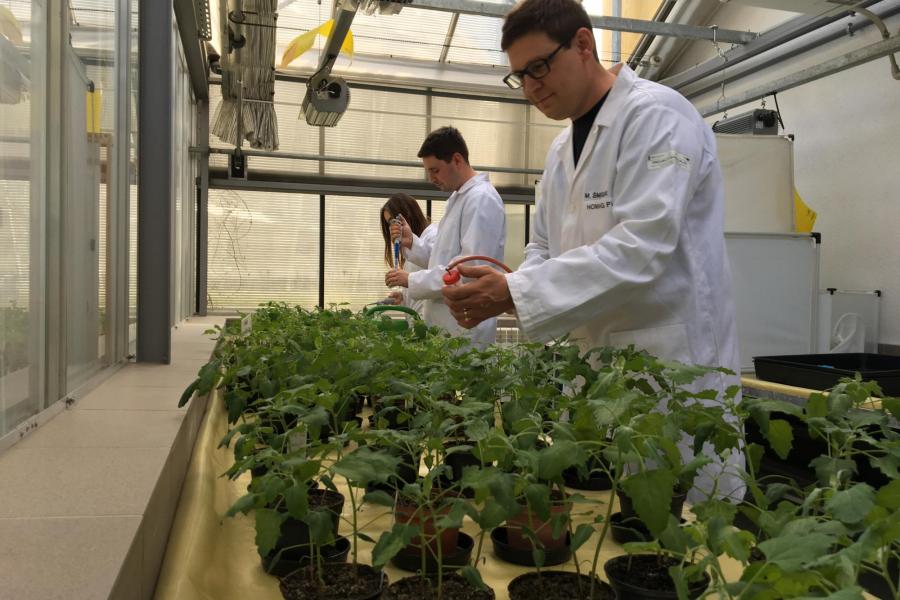 dr hab. inż. Marcin Śmiglak