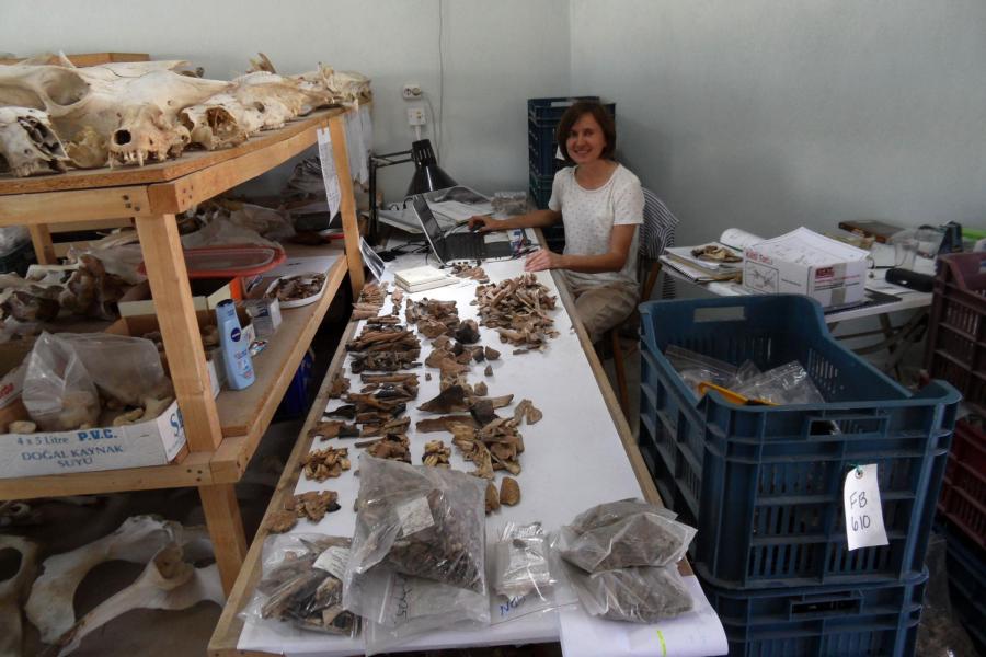 Dr hab. Kamilla Pawłowska