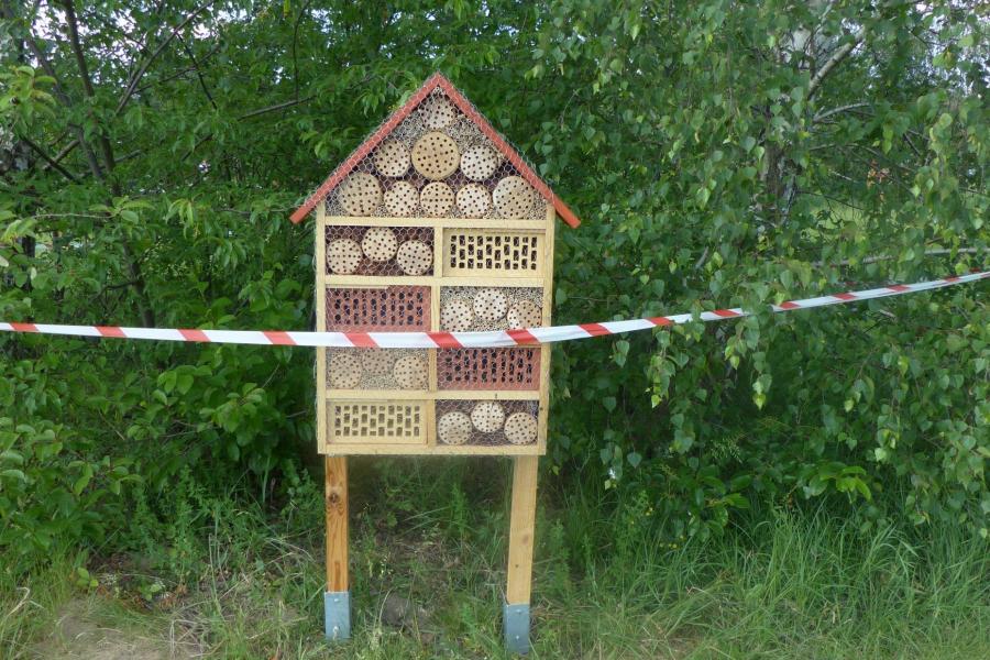 Fot. Jagoda Haloszka