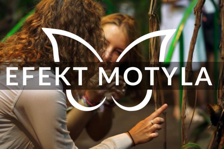 Efekt Motyla, kadr z filmu