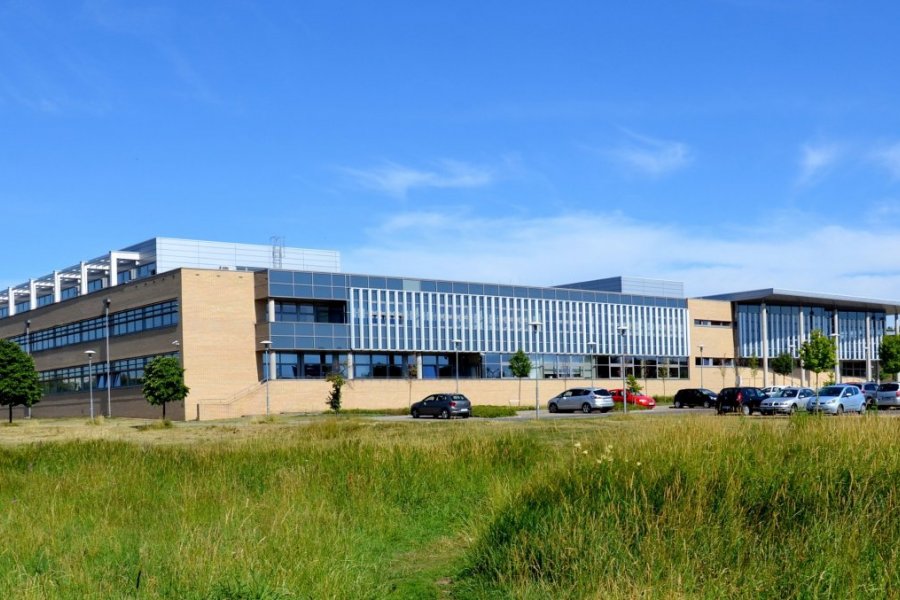 Absolwenci UAM zostali wyróżnieni w konkursie Poznań Wielka Zmiana, fot. WNPiD UAM