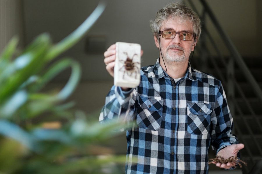 Prof. Paweł Szymkowiak jest jedynym arachnologiem na UAM