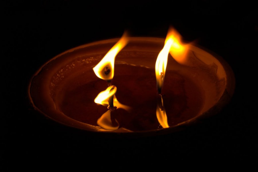 Święto zmarłych UAM