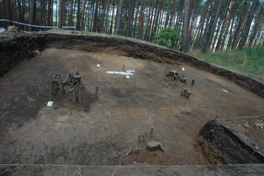 Prof. Andrzej Michałowski prowadzi badania w Mirosławiu od kilku sezonów
