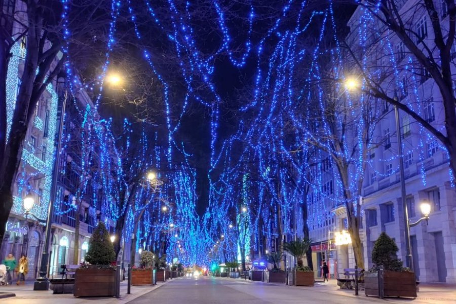 Fot. Joanna  Chichlowska