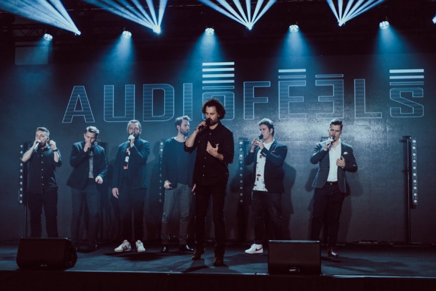 Audiofeels  fot. archiwum zespołu