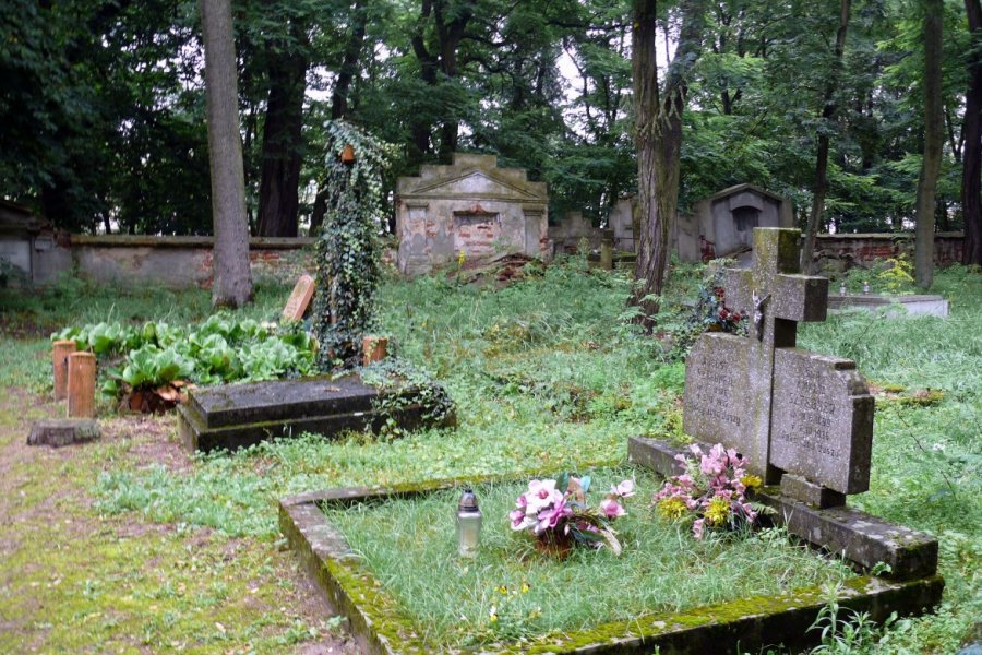 Cmentarz ewangelicki w Kole, fot. Kolanin (Wikipedia)