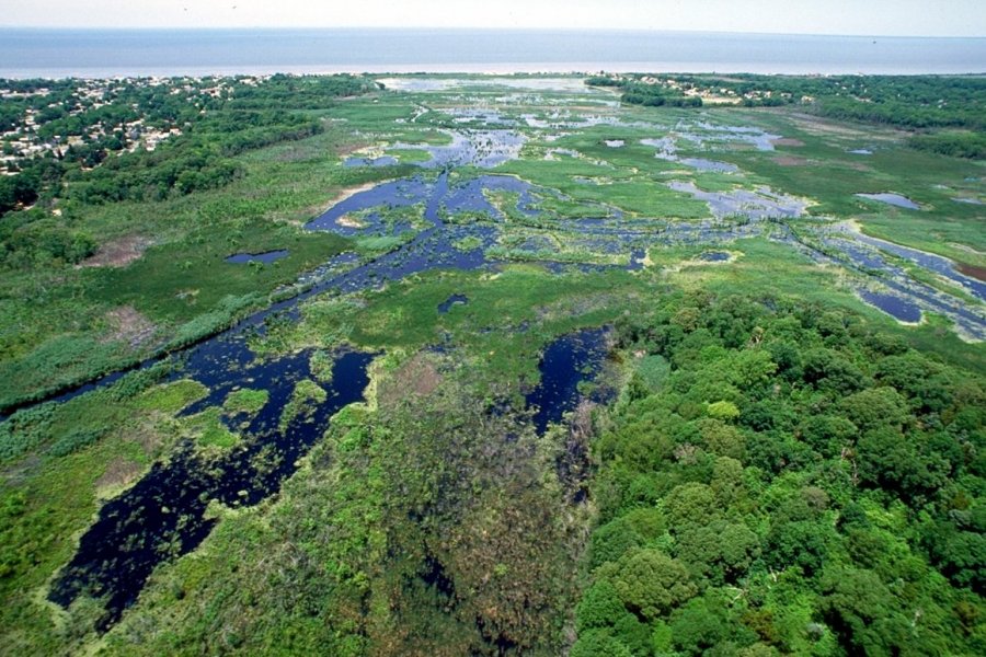 Mokradła w Cape May, New Jersey, fot. Anthony Bley, U.S. Army Corps of Engineers